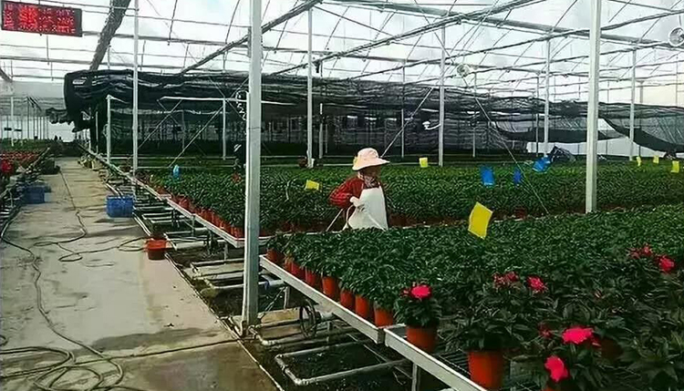 種植養(yǎng)殖恒溫?zé)岜脩?yīng)用