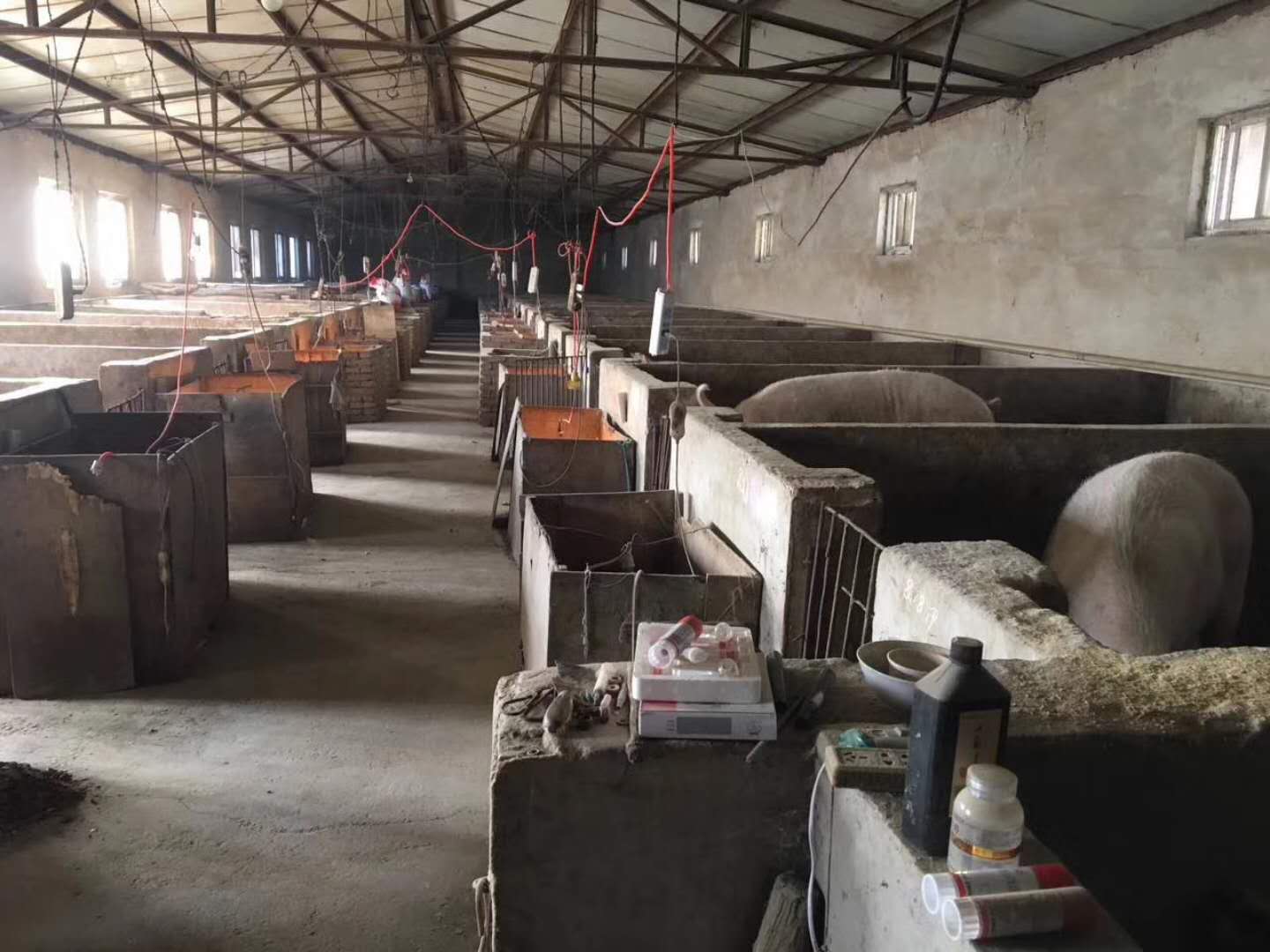空氣源熱泵養(yǎng)殖地暖