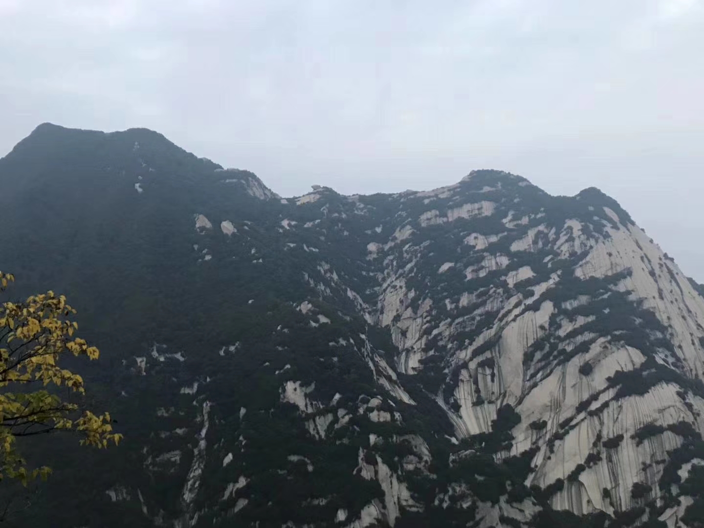 mmexport1538787396129.jpg 派沃空氣能精英