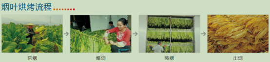 煙草烘干機工作原理 煙草烘干機工作原理