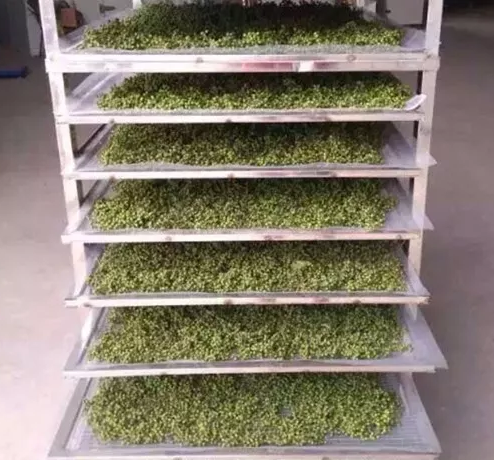 家用二相電花椒烘干機介紹